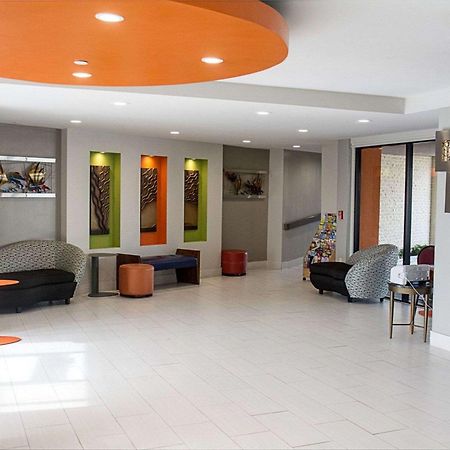 וירג'יניה ביץ' Hotel Boardwalk 705 מראה חיצוני תמונה